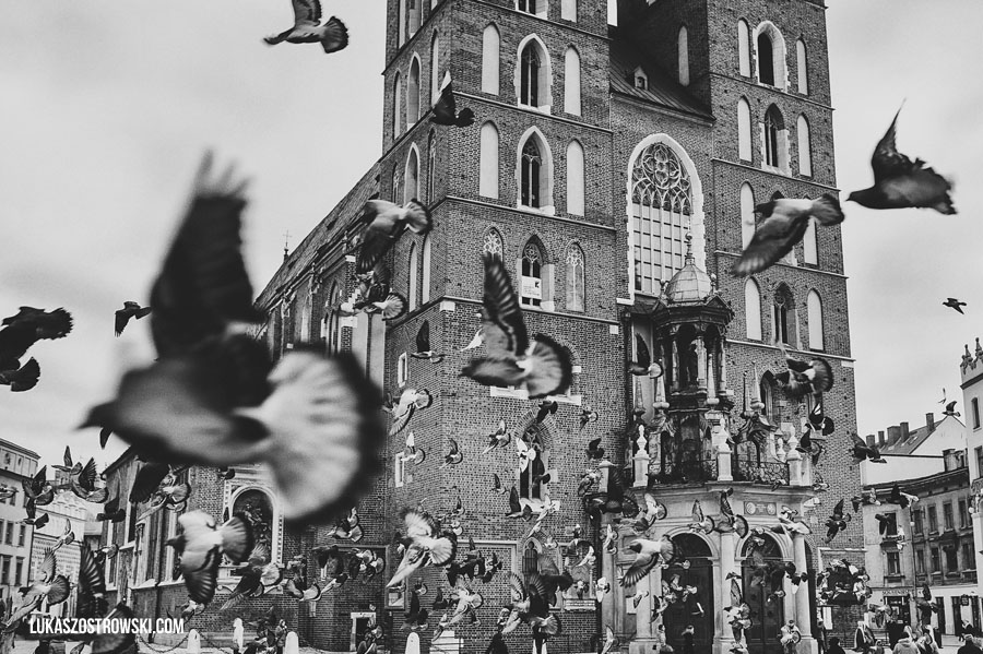 wesele Hotel pod Różą, hotel pod różą, miejsce na wesele kraków, lokal na wesele kraków, wesele w krakowie, jaki lokal na wesele kraków