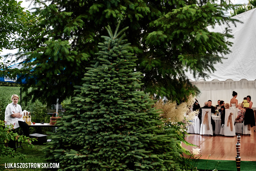 wesele w namiocie, wesele pod namiotem, namiot na wesele, tańce pod namiotem, zabawa weselna pod namiotem, goście weselni pod namiotem, wesele pod namiotem w ogrodzie