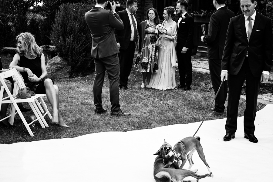 Folwark białych bocianów wesele, folwark białych bocianów, ceremonia plenerowa w folwarku białych bocianów