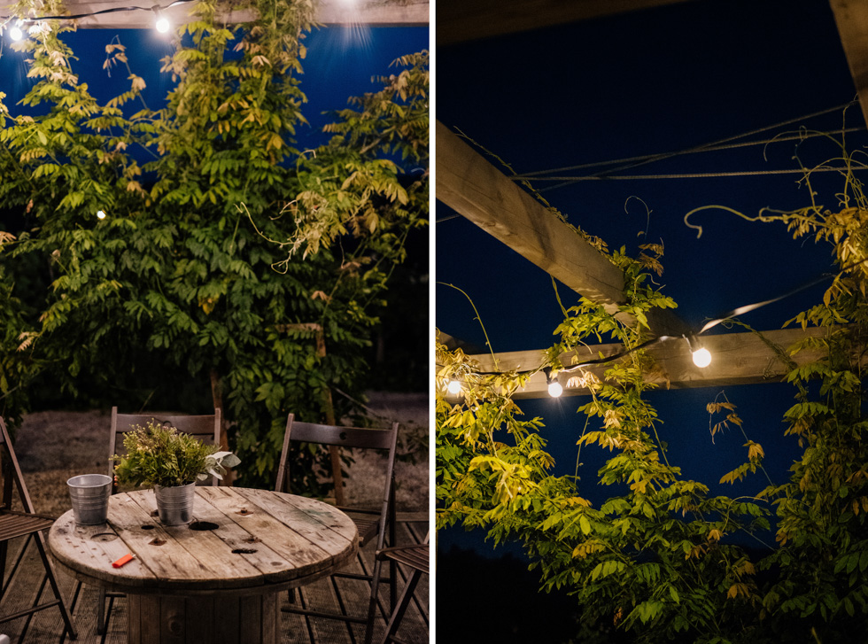 siedlisko Stary Tartak siedlisko Stary Tartak